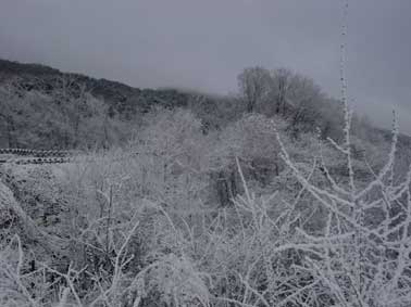 �U�R�[�i�[����J�Ԃ̕��i