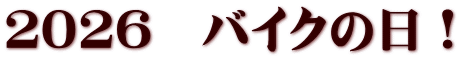 �Q�O�Q�U�@�o�C�N�̓��I
