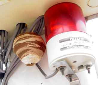 �Y��ȖI�̑�